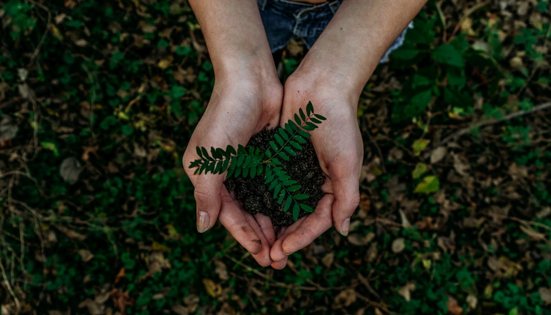 Nachhaltige Paketbeilagen auf Recyclingpapier für nachhaltige Marken